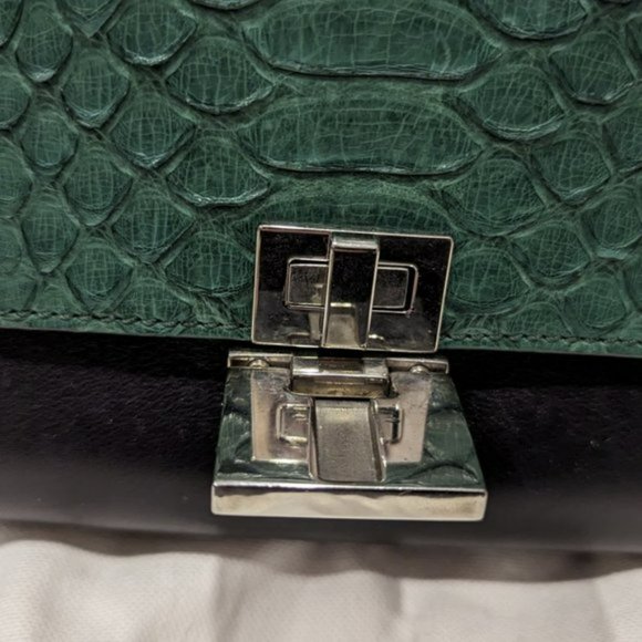 Celine Medium Python Trapeze Bag - Picture 5 of 16